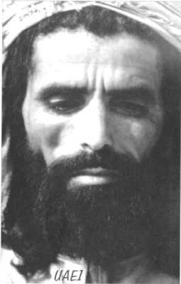 face1.jpg (8347 bytes)